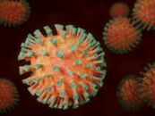 Symbolbild eines Corona-Virus